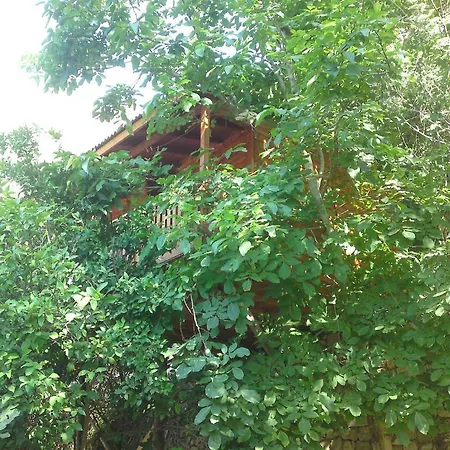 Gul אכסניה פאראליה