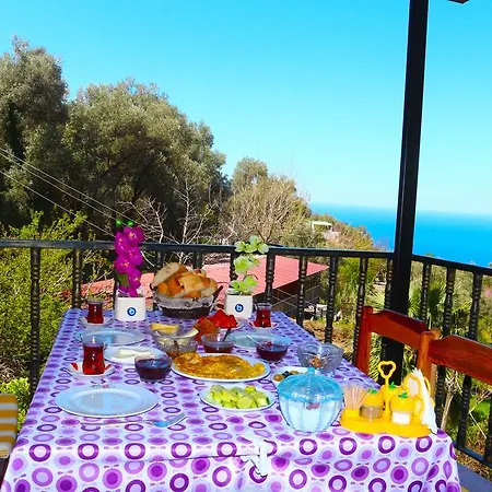 Gul * פאראליה