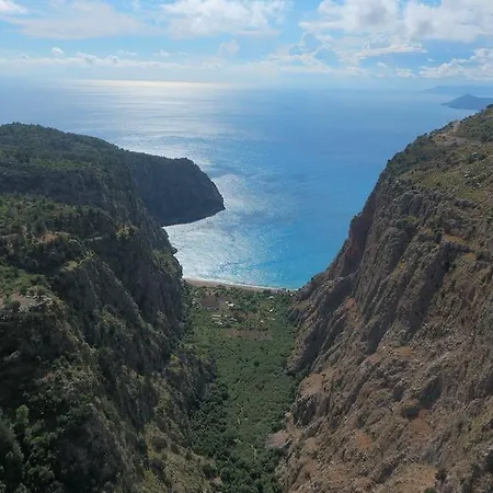 Orman Evi Gul Faralya