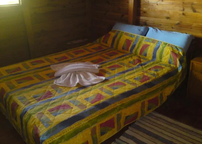 Gul Orman Evi Faralya