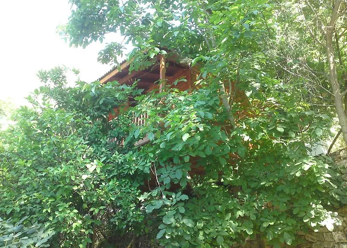 Gul Orman Evi Faralya