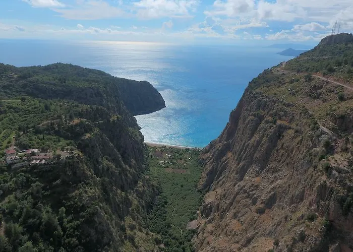 Orman Evi Gul Faralya