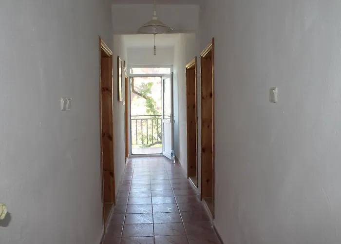 Orman Evi Gul Faralya