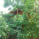 Gul بيت خشبي فاراليا