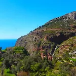 Gul فاراليا