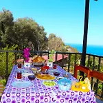 Gul * فاراليا