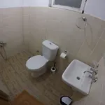Gul