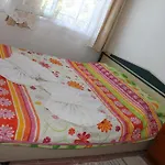 بيت خشبي Gul *