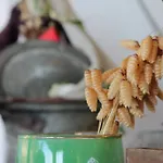 Gul فاراليا