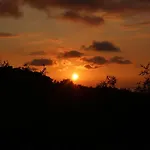 Gul فاراليا