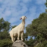 بيت خشبي Gul فاراليا